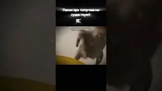 перезалив можно пожалуйста актив🥺🥺🥺🥺🥺 #можноактив #можноврек #попугаи