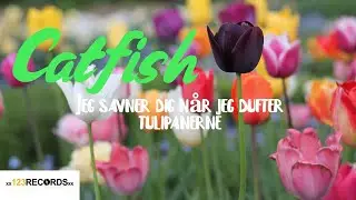 Catfish  - Jeg savner Dig når Jeg dufter Tulipanerne [Official Audio]