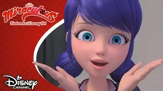 ☔ Z deszczu pod rynnę | Miraculous: Biedronka i Czarny Kot | Disney Channel Polska
