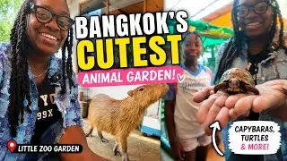 We Visited Bangkok’s CUTEST Hidden Animal Garden! 🦙 | Little Zoo Garden Full Tour