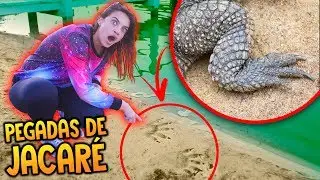 🐊 ACHAMOS OUTRO JACARÉ NA MANSÃO DOS SONHOS!!!