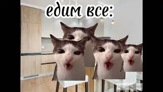~•как проходит моя суббота•~