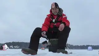Руза Палашкино 16 03 2024