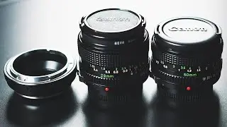 My Favorite Lenses for the BMPCC 4K | With Sample Footage (Snowboarding, Cute Cats and more!)