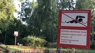 День мороженого