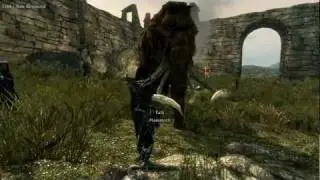 Feed the Mammoth!