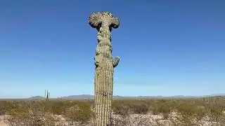 ￼” PLAYA EL COLORADO  SONORA” Otra maravilla más Sonora te distingue en su zona noroeste de playas