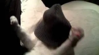 2010 12 9 18:21