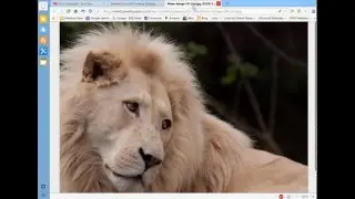 how to access any pic from web through html
