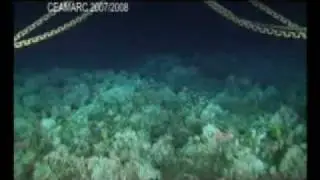 Deep Trawl Underwater Camera