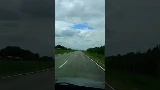 с песней по жизни
