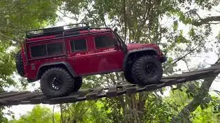 Crawling at Markham Park