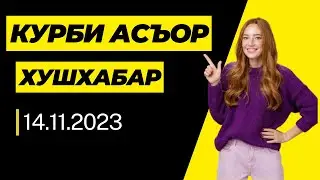 КУРБИ АСЪОР АЙНИ ХОЛ ЧАНД  ШУД?| курби асъор имуруз 14.11.2023#курби асъор имруз