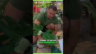 How to Propagate Plants in Water: Fast and Successful Method