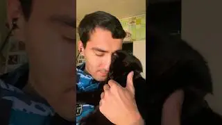 Дождались папу с работы 😸 /)всегда ждут ❤️