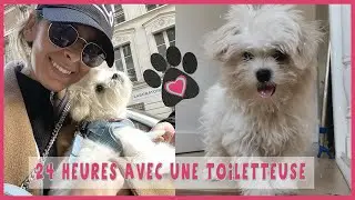 24 heures avec une toiletteuse (OMG😱 elle a transformer ma chienne)ft//cv4