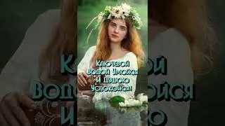 7 июля 2023 г.