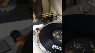 король и шут 