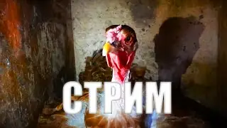 ОБЩЕНИЕ С ЧАТОМ! ОЦЕНКА КАНАЛОВ