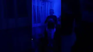 31.12.2017