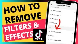 How To Remove TikTok Filters And Effects   Verified Guide