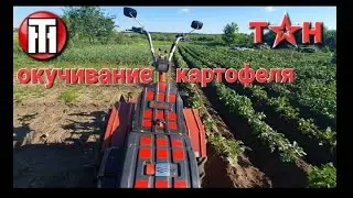 ТРЕТЬЕ окучивание картофеля. Мотоблок мотор сич 24.06.22г. двойной окучник.