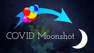 Could the COVID Moonshot change how we design drugs?