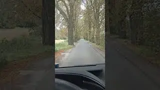 приехал в осень