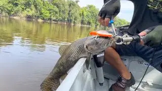 QUASE DEU UM ACIDENTE NA PESCARIA, TEM QUE TOMAR CUIDADO!