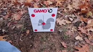 GAMO Fold & Fire Freestanding Target
