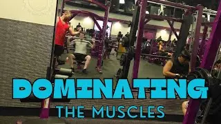 We Tested Chest, Shoulder, and Triceps exercises!