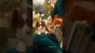 Доброе утро! 