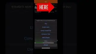 Export Audio Only On CapCut (App) | IOS & Android