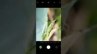 foto macro redmi note 7