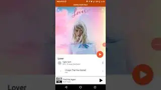 Taylor Swift lover Album review