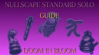 Standard Level 1-20 Guide | Nullscape