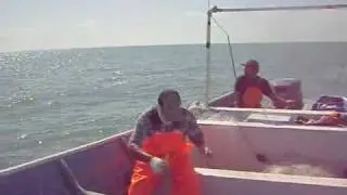 Pesqueria del camaron en el Golfo de Santa Clara, Sonora II