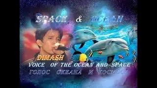 #DIMASH
