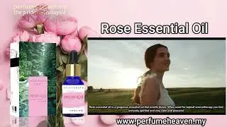 Rose Essential Oil - 100% Pure