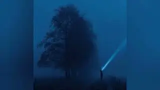 Alone(Play list)