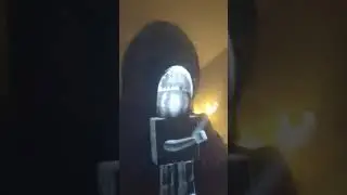 Рикардо арбус XD