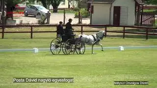 HUNGARY FOTO LIVE - Mélykút OB Döntő
