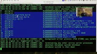 Postgres patch: printing backtrace on SegFault