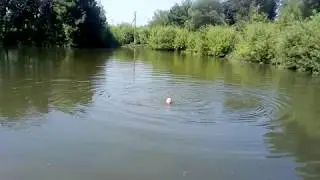ЛЕТО В ДЕРЕВНЕ июнь 2018