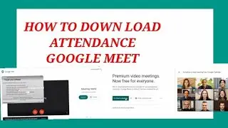 How to download attendance of participants during google meet