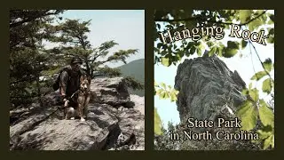 His first hike. | Vlog 84