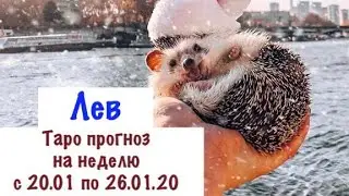 Лев _ гороскоп таро на неделю с 20.01 по 26.01.20 _ Таро прогноз