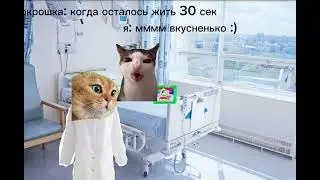 зато было вкусно 😋