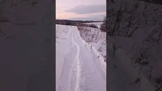 ПОЛЕВАЯ ДОРОГА.