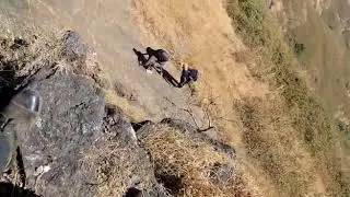 Rajgad Torna Tough patch 2#rajgad